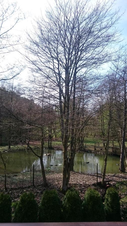 Ferienwohnung Am Ententeich Bad Marienberg Dış mekan fotoğraf